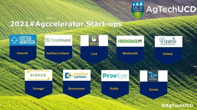 九家初创企业入选UCD的新农业科技项目