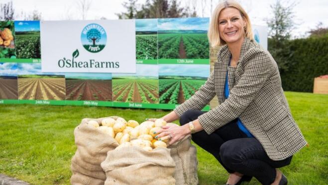 土豆种植者被敦促寻求2000万欧元的爱尔兰薯条店市场机会